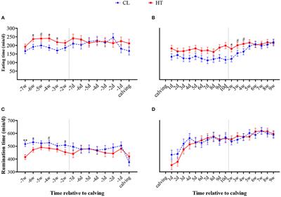 Effects of Exposure to Heat Stress During Late Gestation on the Daily Time Budget of Nulliparous Holstein Heifers